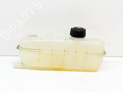 expansion-tank-renault-zoe-bfm_-zoe-217101652r-2012-8412510 main image