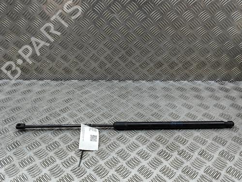 Used Tailgate lift support VW CADDY IV Box Body/MPV (SAA, SAH) 2.0 TDI (102 hp) 32061346