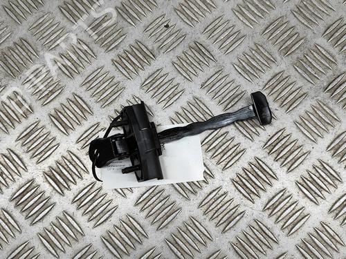 hingedoor-check-strap-tesla-model-3-5yj3-2017-27774434 main image