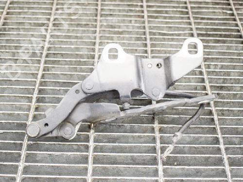 Hinge/Door check strap BMW 3 (E90) 318 i | BP14607581C146 