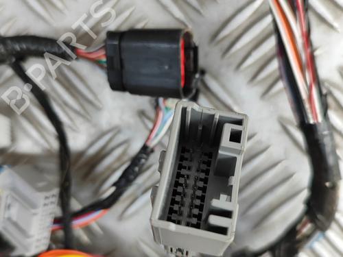 Ledningsnet TESLA MODEL S (5YJS) P100D AWD | BP28497970E16 