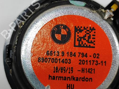 Speaker BMW 5 (G30, F90) 530 e Plug-in-Hybrid xDrive | BP28115783E2 