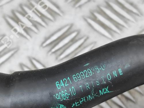 Pipe BMW X6 (G06, F96) xDrive 30 d Mild-Hybrid | BP32525352M125