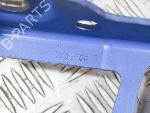 Hinge/Door check strap BMW 3 Touring (F31) 335 d xDrive | BP14631333C146 