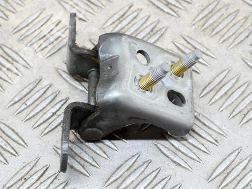 Hinge/Door check strap JAGUAR S-TYPE II (X200) 2.5 V6 | BP14630678C146 