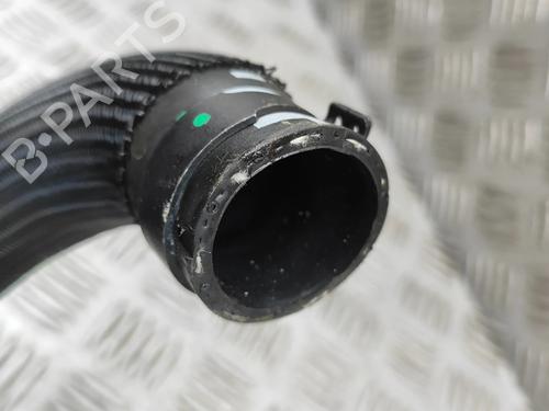 Pipe RENAULT AUSTRAL E-TECH 200 Hybrid (HGM2) | BP33962069M125  - Image 5