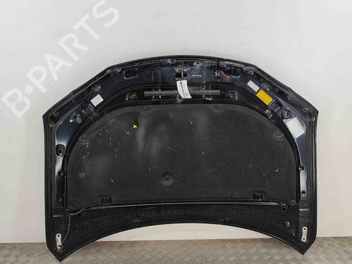 Hood LEXUS CT (ZWA10_) 200h (ZWA10_) | BP29593482C1 