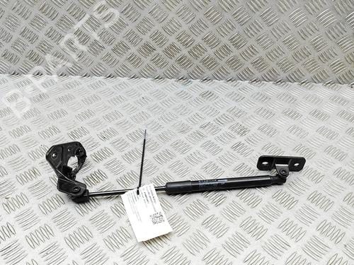 hood-lift-support-tesla-model-3-5yj3-2017-33697620 main image