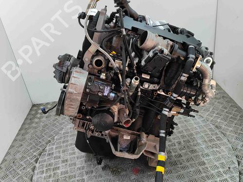 Engine IVECO DAILY VI Platform/Chassis 33S14, 35S14, 35C14, 38S14 | BP29404051M1 