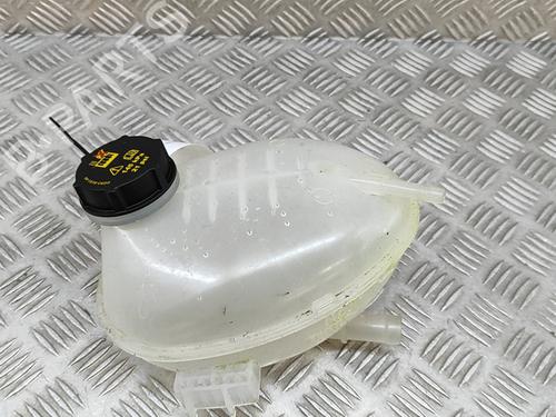 Used Expansion tank FORD PUMA (J2K, CF7) 1.0 EcoBoost mHEV (155 hp) 27787016