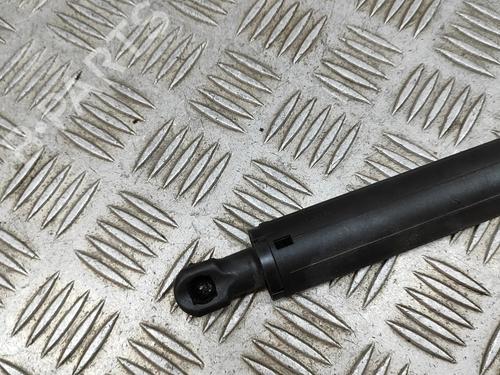 Tailgate lift support TESLA MODEL Y (5YJY) EV Rear-Wheel Drive | BP31314670C138 