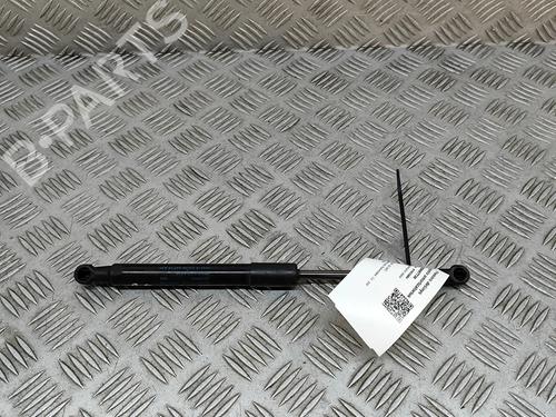 hood-lift-support-audi-q5-8rb-2008-2009-2010-2011-2012-2013-2014-2015-2016-2017-2018-2019-26902659 main image