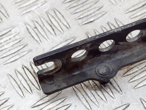 Hinge/Door check strap AUDI A8 D3 (4E2, 4E8) 4.0 TDI quattro | BP14632075C146 