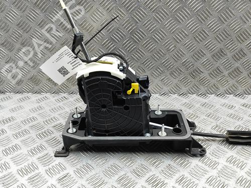 Gearstang Gearstang 37698758 37698758