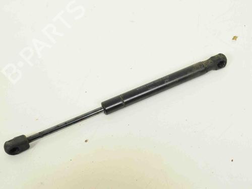 Hood lift support VOLVO XC60 I SUV (156) D5 | BP30256975C139 