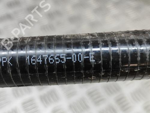 Pipe TESLA MODEL Y (5YJY) EV | BP27794722M125 