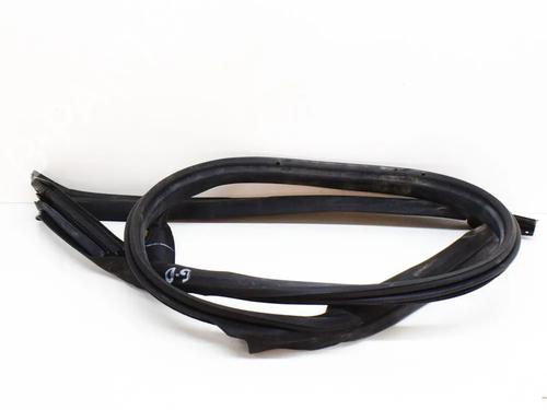 Gummiliste TESLA MODEL 3 (5YJ3) EV | BP27749062C142 - Image 3