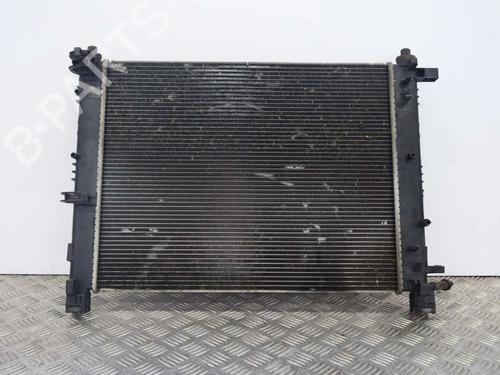 Used Water radiator Water radiator DACIA SANDERO II 1.2 (75 hp) 6747345 6747345