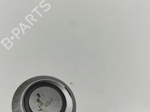 Electronic module CHEVROLET CAPTIVA (C100, C140) 2.0 D 4WD | BP28101905M83 