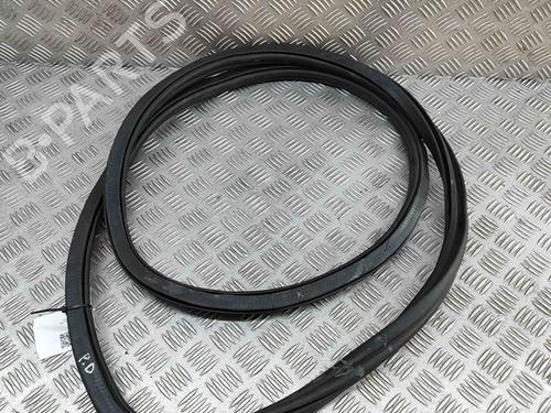Rubber door seal BMW 8 Gran Coupe (G16, F93) 840 i | BP28563209C142