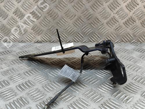 Hinge/Door check strap BMW X5 (E70) xDrive 30 d | BP16712151C146 