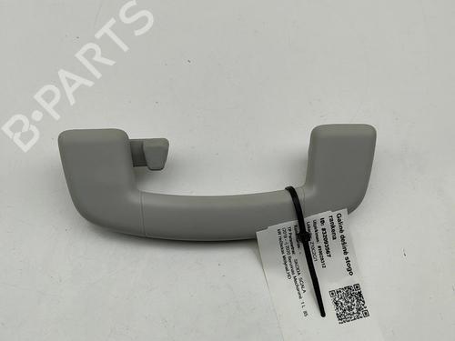 interior-roof-handle-skoda-scala-nw1-2019-33374242 main image