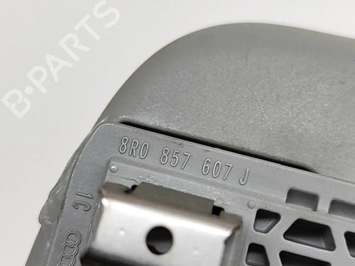 Håndtag i tag AUDI A4 Allroad B9 (8WH, 8WJ) 2.0 TDI quattro | BP24142314I35 