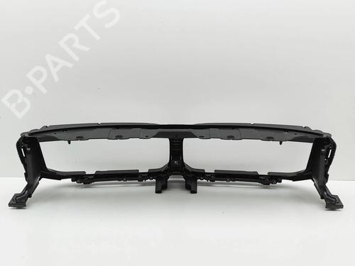 Grill BMW X5 (G05, F95) xDrive 30 d | BP32039152C40