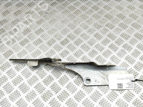Hinge/Door check strap FORD USA CROWN VICTORIA 4.6 FlexFuel | BP29637783C146 