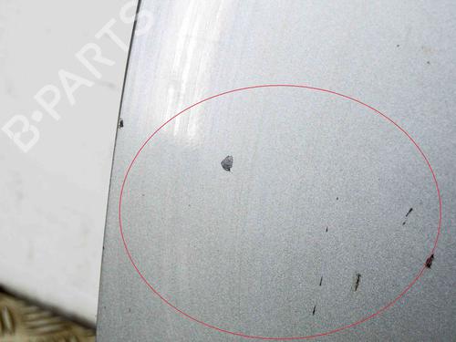 Left front door AUDI A6 C6 (4F2) 3.0 TDI quattro | BP30130448C2 