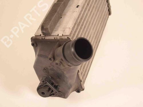Intercooler FORD FIESTA VI (CB1, CCN) 1.0 EcoBoost | BP30226931M30