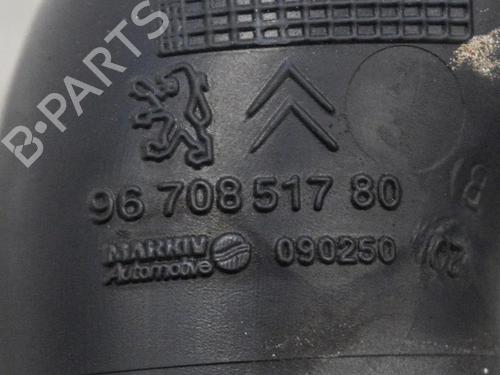 Pipe PEUGEOT 2008 I (CU_) 1.2 VTi | BP14665305M125