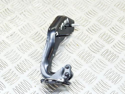 Hinge/Door check strap JAGUAR I-PACE (X590) EV400 AWD | BP27750958C146 