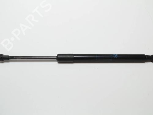 Gasdæmper bagklap BMW 1 Coupe (E82) 120 d | BP30257513C138