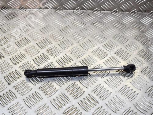 Gasdæmper bagklap RENAULT ZOE (BFM_) ZOE (88 hp) 14619905