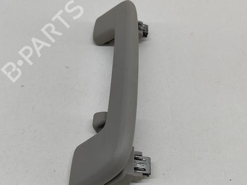 Interior roof handle SKODA ENYAQ iV SUV (5AZ) 80 | BP28687197I35 