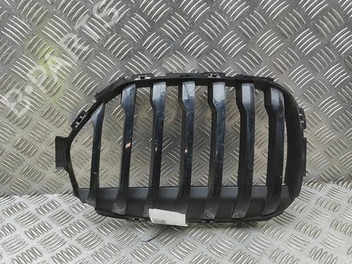 Gitter für BMW X1 (F48) sDrive 20 i (192 hp) 32170774