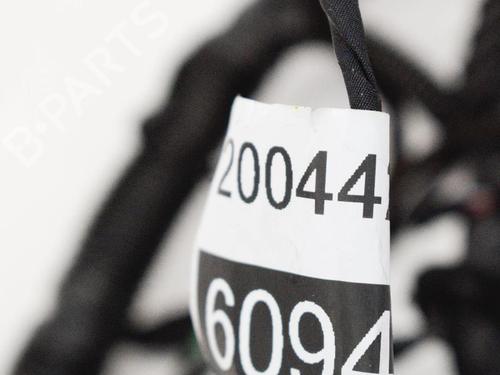 Wiring harness TESLA MODEL S (5YJS) 75D AWD | BP20233068E16 