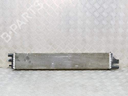 Water radiator RENAULT MASTER III Van (FV) 2.3 dCi 180 FWD (FV04, FV07) | BP29128314M31