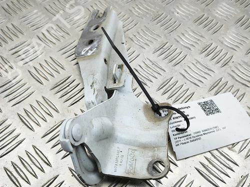Hinge/Door check strap FORD RANGER (TKE) 3.2 TDCi 4x4 | BP37609938C146 - Image 2