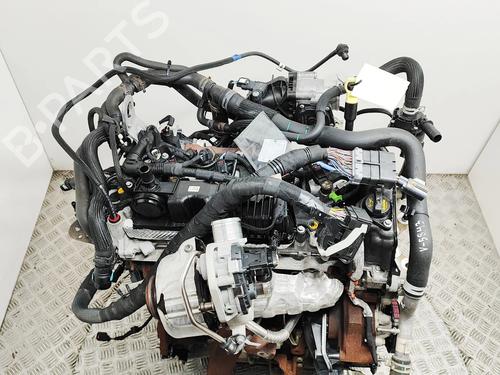 Engine FORD TRANSIT CUSTOM V362 Van (FY, FZ) 2.0 EcoBlue mHEV | BP31715276M1