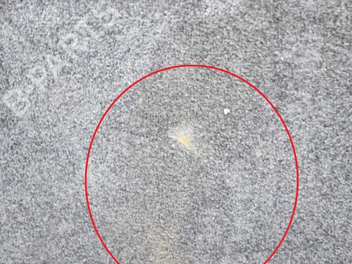  - Image 4