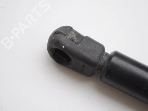 Hood lift support JAGUAR S-TYPE II (X200) 3.0 V6 | BP30232783C139