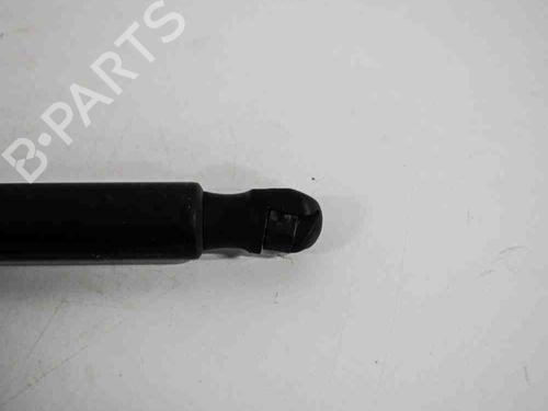 Tailgate lift support AUDI Q5 (8RB) 2.0 TDI quattro | BP14659487C138