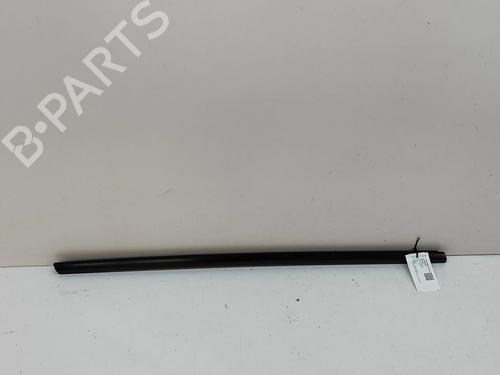 Moldura de la puerta TESLA MODEL Y (5YJY) EV Rear-Wheel Drive (299 hp) 31314671