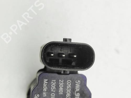 Electronic module SKODA ENYAQ iV SUV (5AZ) 80 | BP31810312M83