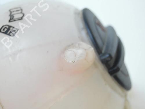 Expansion tank VW TIGUAN (5N_) 2.0 TFSI 4motion | BP30241806C120