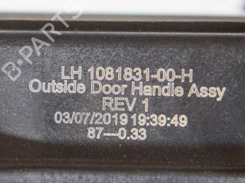 Front left exterior door handle TESLA MODEL 3 (5YJ3) EV | BP27749009C128 
