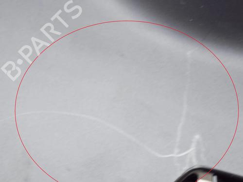 Altro TESLA MODEL 3 (5YJ3) EV AWD | BP27752820O1