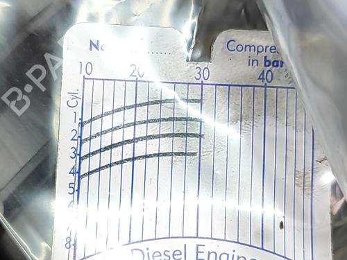 Engine LAND ROVER RANGE ROVER VELAR (L560) 2.0 D200 MHEV 4x4 | BP28434211M1 